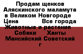 Продам щенков Аляскинского маламута в Великом Новгороде › Цена ­ 5 000 - Все города Животные и растения » Собаки   . Ханты-Мансийский,Советский г.